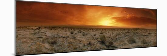 Sunset over a Desert, Palm Springs, California, USA-null-Mounted Photographic Print