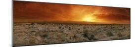 Sunset over a Desert, Palm Springs, California, USA-null-Mounted Photographic Print