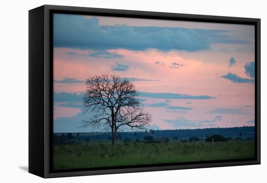 Sunset over a Farm and Cerrado Landscape in Bonito-Alex Saberi-Framed Stretched Canvas