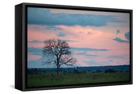 Sunset over a Farm and Cerrado Landscape in Bonito-Alex Saberi-Framed Stretched Canvas