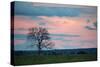 Sunset over a Farm and Cerrado Landscape in Bonito-Alex Saberi-Stretched Canvas