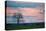 Sunset over a Farm and Cerrado Landscape in Bonito-Alex Saberi-Stretched Canvas