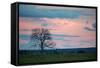 Sunset over a Farm and Cerrado Landscape in Bonito-Alex Saberi-Framed Stretched Canvas