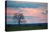 Sunset over a Farm and Cerrado Landscape in Bonito-Alex Saberi-Stretched Canvas