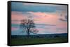 Sunset over a Farm and Cerrado Landscape in Bonito-Alex Saberi-Framed Stretched Canvas