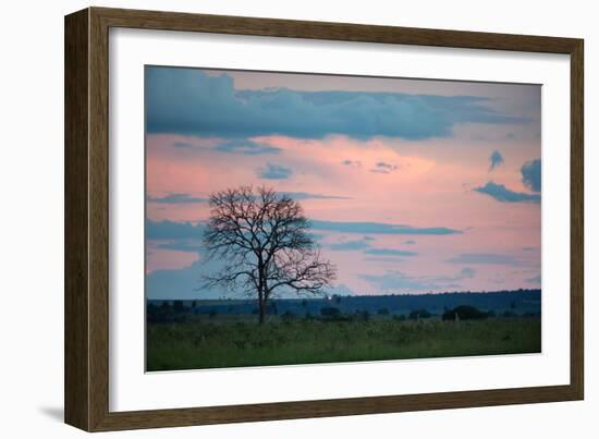 Sunset over a Farm and Cerrado Landscape in Bonito-Alex Saberi-Framed Premium Photographic Print