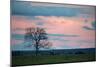 Sunset over a Farm and Cerrado Landscape in Bonito-Alex Saberi-Mounted Premium Photographic Print