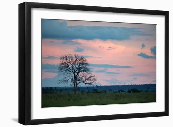 Sunset over a Farm and Cerrado Landscape in Bonito-Alex Saberi-Framed Photographic Print