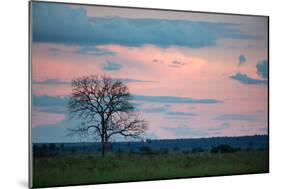 Sunset over a Farm and Cerrado Landscape in Bonito-Alex Saberi-Mounted Photographic Print