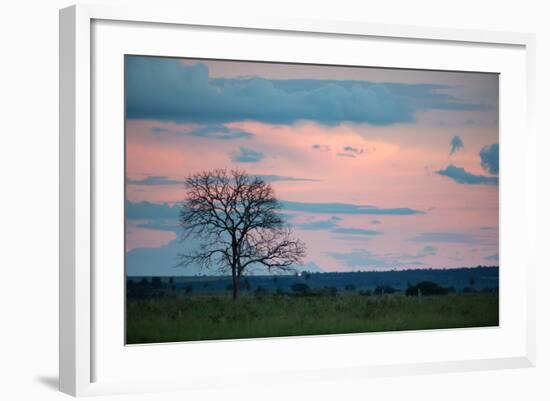 Sunset over a Farm and Cerrado Landscape in Bonito-Alex Saberi-Framed Photographic Print