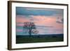 Sunset over a Farm and Cerrado Landscape in Bonito-Alex Saberi-Framed Photographic Print