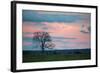 Sunset over a Farm and Cerrado Landscape in Bonito-Alex Saberi-Framed Photographic Print