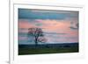 Sunset over a Farm and Cerrado Landscape in Bonito-Alex Saberi-Framed Photographic Print