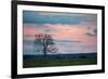 Sunset over a Farm and Cerrado Landscape in Bonito-Alex Saberi-Framed Photographic Print