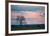 Sunset over a Farm and Cerrado Landscape in Bonito-Alex Saberi-Framed Photographic Print