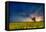 Sunset over a Field of Rapeseed, Near Risley in Derbyshire England UK-Tracey Whitefoot-Framed Stretched Canvas