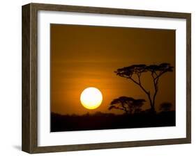 Sunset over a Forest, Serengeti, Tanzania-null-Framed Premium Photographic Print