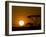 Sunset over a Forest, Serengeti, Tanzania-null-Framed Premium Photographic Print