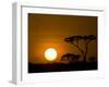 Sunset over a Forest, Serengeti, Tanzania-null-Framed Premium Photographic Print