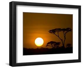 Sunset over a Forest, Serengeti, Tanzania-null-Framed Photographic Print