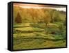Sunset over a Meadow, New Brunswick, Canada-Ellen Anon-Framed Stretched Canvas