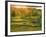 Sunset over a Meadow, New Brunswick, Canada-Ellen Anon-Framed Photographic Print