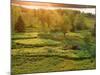 Sunset over a Meadow, New Brunswick, Canada-Ellen Anon-Mounted Photographic Print