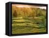 Sunset over a Meadow, New Brunswick, Canada-Ellen Anon-Framed Stretched Canvas