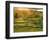 Sunset over a Meadow, New Brunswick, Canada-Ellen Anon-Framed Photographic Print