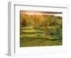 Sunset over a Meadow, New Brunswick, Canada-Ellen Anon-Framed Photographic Print