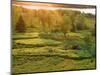 Sunset over a Meadow, New Brunswick, Canada-Ellen Anon-Mounted Photographic Print