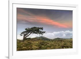 Sunset over Arenzano, Liguria, Italy-ClickAlps-Framed Photographic Print