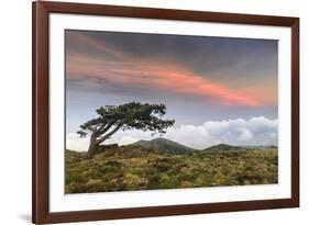 Sunset over Arenzano, Liguria, Italy-ClickAlps-Framed Photographic Print