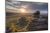 Sunset over Arm's Tor, Dartmoor National Park, Devon, England. Summer (August)-Adam Burton-Mounted Photographic Print