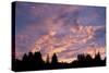 Sunset over Auke Bay in Alaska-Paul Souders-Stretched Canvas