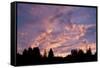 Sunset over Auke Bay in Alaska-Paul Souders-Framed Stretched Canvas