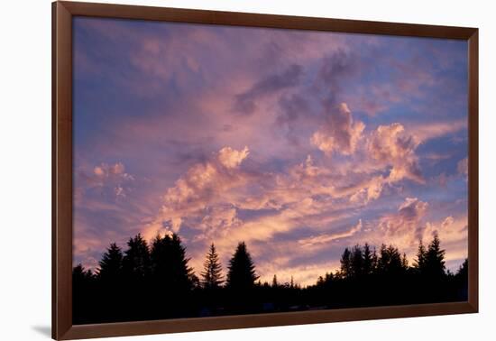 Sunset over Auke Bay in Alaska-Paul Souders-Framed Photographic Print