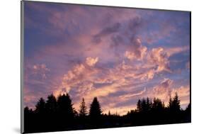 Sunset over Auke Bay in Alaska-Paul Souders-Mounted Photographic Print