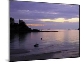 Sunset Over Bay, Dinard, Cote d'Emeraude (Emerald Coast), Cotes d'Armor, Brittany, France-David Hughes-Mounted Photographic Print