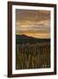Sunset over Bear Tooth-Amanda Lee Smith-Framed Photographic Print