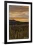 Sunset over Bear Tooth-Amanda Lee Smith-Framed Photographic Print