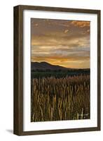 Sunset over Bear Tooth-Amanda Lee Smith-Framed Photographic Print