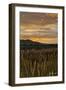 Sunset over Bear Tooth-Amanda Lee Smith-Framed Photographic Print