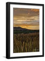 Sunset over Bear Tooth-Amanda Lee Smith-Framed Photographic Print