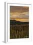 Sunset over Bear Tooth-Amanda Lee Smith-Framed Photographic Print