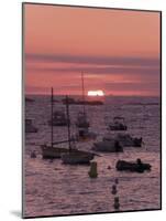 Sunset Over Boats Moored at Sea, Tregastel, Cote De Granit Rose, Cotes d'Armor, Brittany, France-David Hughes-Mounted Photographic Print