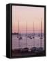 Sunset Over Boats, Tregastel, Cote De Granit Rose, Cotes d'Armor, Brittany, France-David Hughes-Framed Stretched Canvas