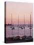 Sunset Over Boats, Tregastel, Cote De Granit Rose, Cotes d'Armor, Brittany, France-David Hughes-Stretched Canvas