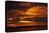 Sunset over Chobe River, Chobe Safari Lodge, Kasane, Botswana, Africa-David Wall-Stretched Canvas