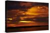 Sunset over Chobe River, Chobe Safari Lodge, Kasane, Botswana, Africa-David Wall-Stretched Canvas